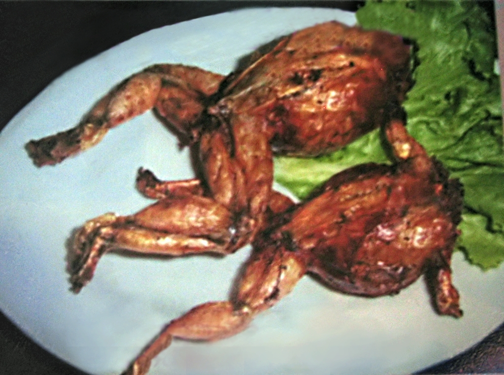 Stuffed Frog — កង្កែបបាប